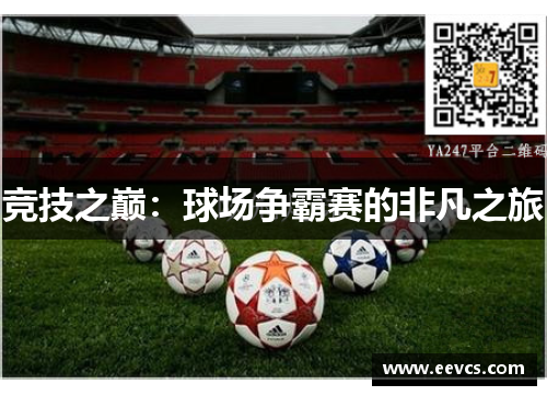 竞技之巅：球场争霸赛的非凡之旅