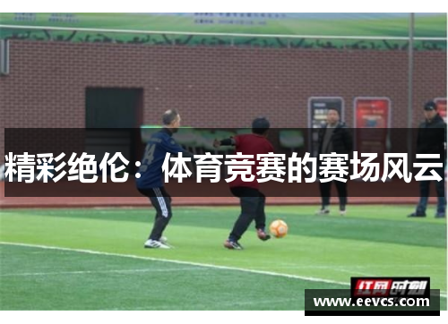 精彩绝伦：体育竞赛的赛场风云